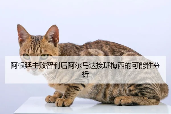 a-gen-ting-ji-bai-zhi-li-hou-a-er-ma-da-jie-ban-mei-xi-de-ke-neng-xing-fen-xi-2-136.jpg
