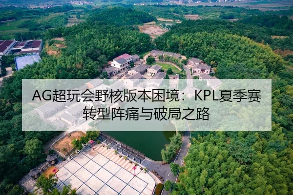 AG超玩会野核版本困境：KPL夏季赛转型阵痛与破局之路