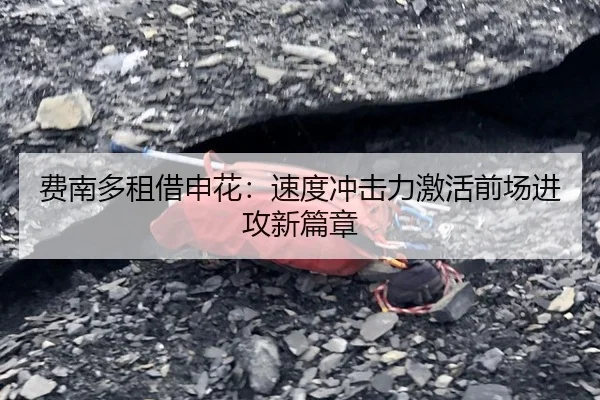 费南多租借申花：速度冲击力激活前场进攻新篇章