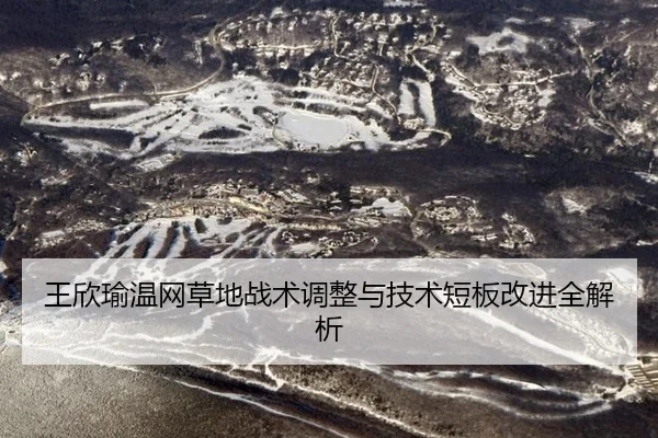 王欣瑜温网草地战术调整与技术短板改进全解析