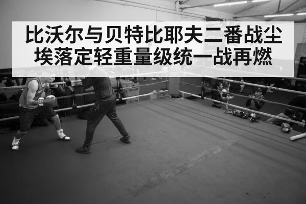 boxer training gym