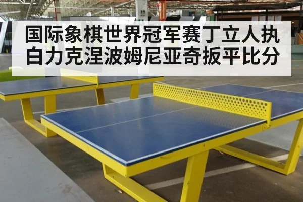 国际象棋世界冠军赛丁立人执白力克涅波姆尼亚奇扳平比分